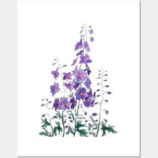 purple blue pink delphinium watercolor Posters and Art